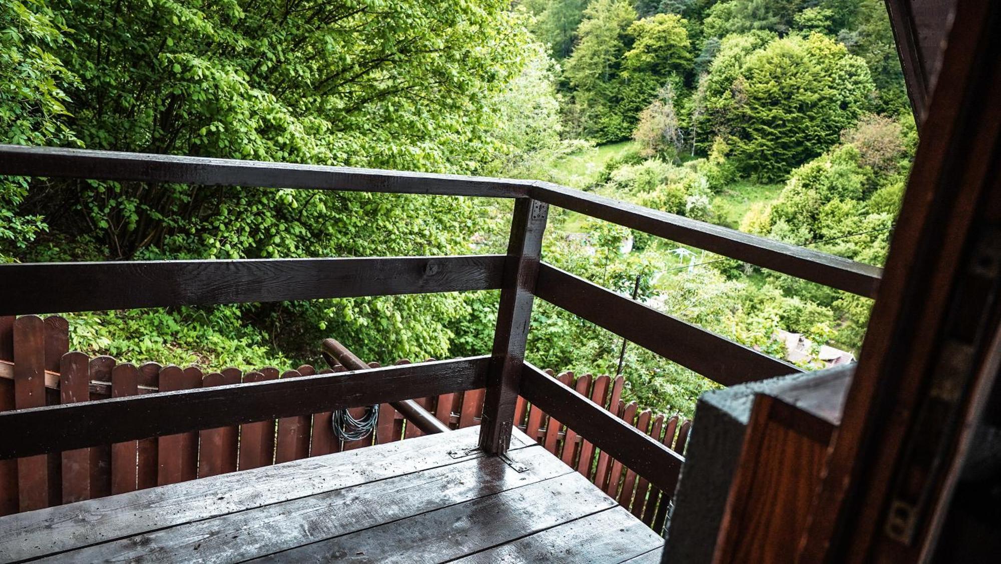 Case de vacanță Pinewood Brașov